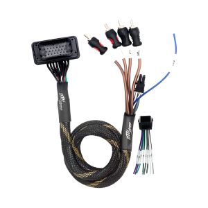 '20-'26 RZR® Pro Series Ride Command Front & Rear RCA Output + Speaker Wire & Remote | UTVS-PRO-RC-RCA-OUT